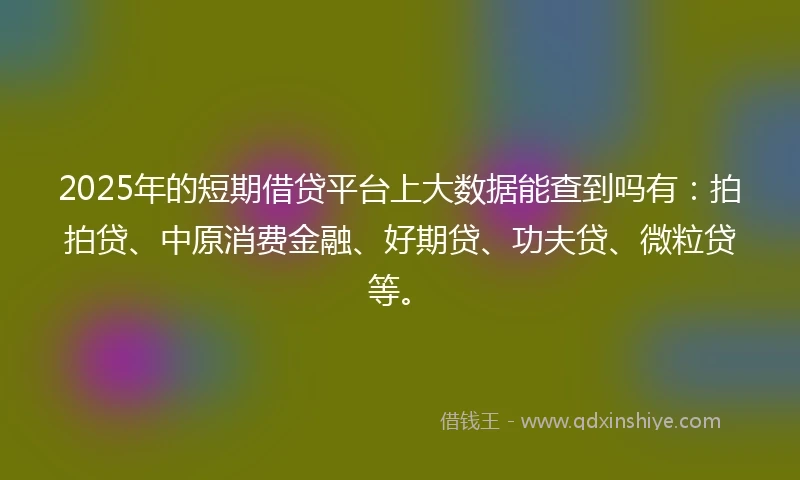 2025年的短期借贷平台上大数据能查到吗有：拍拍贷、中原消费金融、好期贷、功夫贷、微粒贷等。