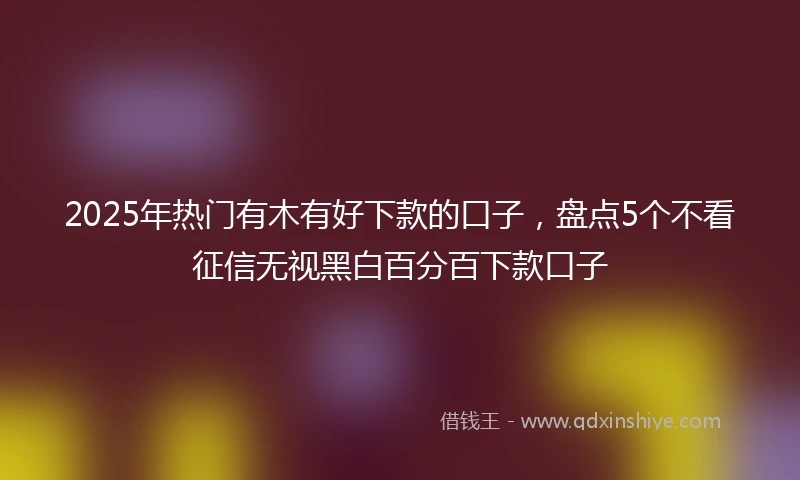 2025年热门有木有好下款的口子，盘点5个不看征信无视黑白百分百下款口子