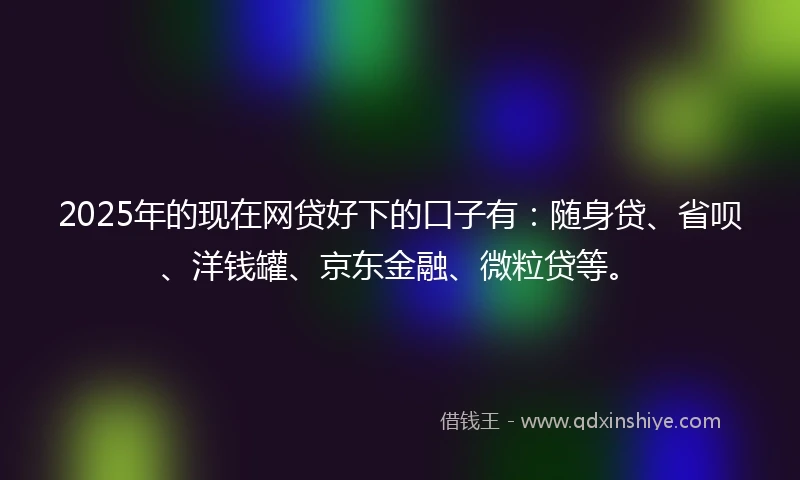 2025年的现在网贷好下的口子有：随身贷、省呗、洋钱罐、京东金融、微粒贷等。