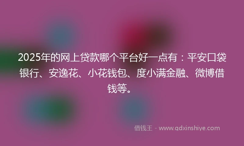 2025年的网上贷款哪个平台好一点有：平安口袋银行、安逸花、小花钱包、度小满金融、微博借钱等。