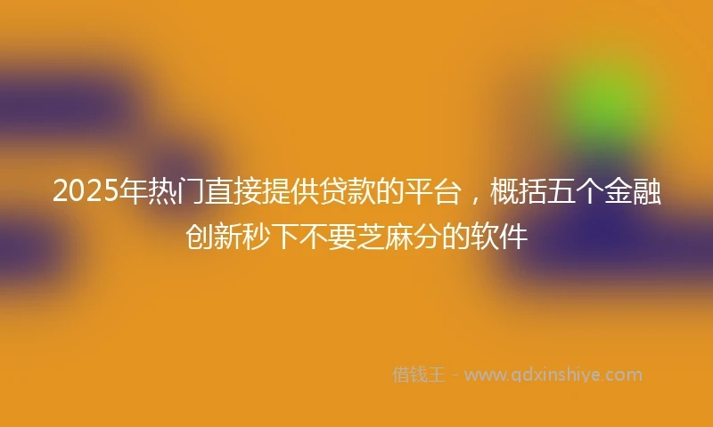 2025年热门直接提供贷款的平台，概括五个金融创新秒下不要芝麻分的软件