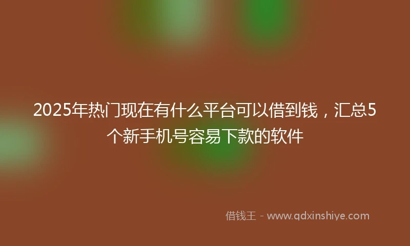 2025年热门现在有什么平台可以借到钱，汇总5个新手机号容易下款的软件