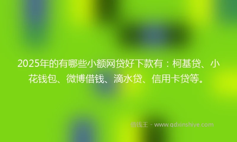 2025年的有哪些小额网贷好下款有：柯基贷、小花钱包、微博借钱、滴水贷、信用卡贷等。