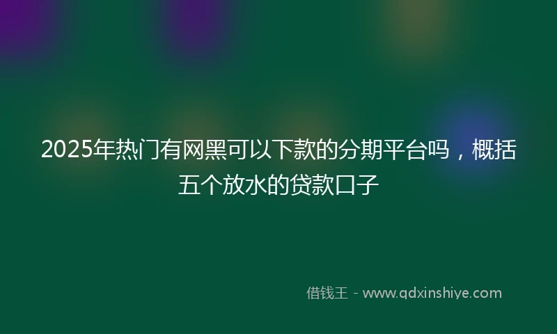 2025年热门有网黑可以下款的分期平台吗，概括五个放水的贷款口子