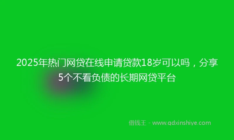 2025年热门网贷在线申请贷款18岁可以吗，分享5个不看负债的长期网贷平台