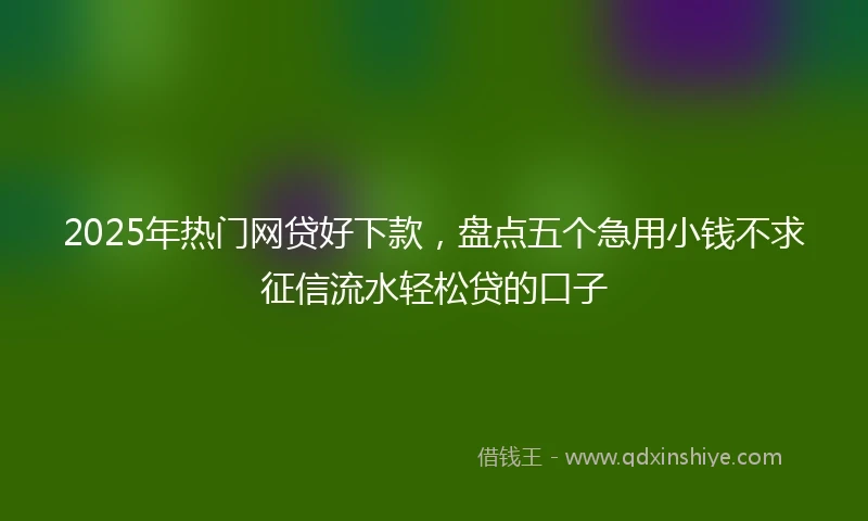 2025年热门网贷好下款，盘点五个急用小钱不求征信流水轻松贷的口子