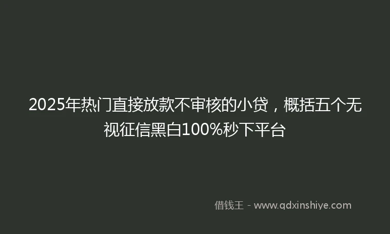 2025年热门直接放款不审核的小贷，概括五个无视征信黑白100%秒下平台