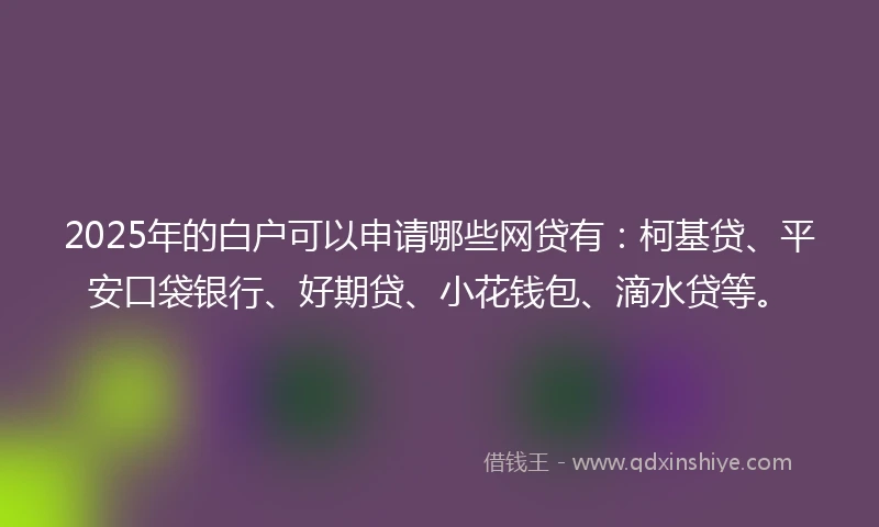 2025年的白户可以申请哪些网贷有：柯基贷、平安口袋银行、好期贷、小花钱包、滴水贷等。