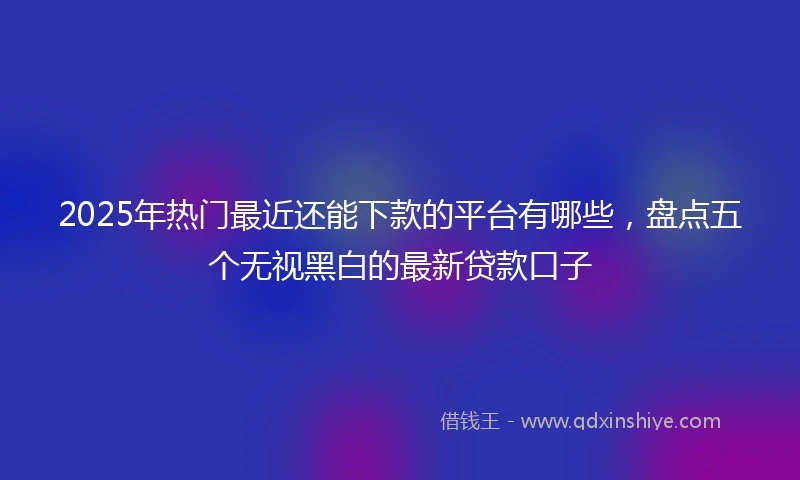 2025年热门最近还能下款的平台有哪些，盘点五个无视黑白的最新贷款口子