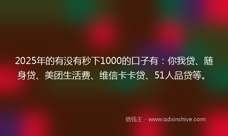 2025年的有没有秒下1000的口子有：你我贷、随身贷、美团生活费、维信卡卡贷、51人品贷等。