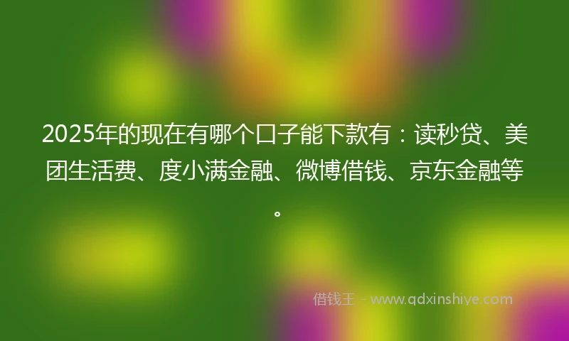 2025年的现在有哪个口子能下款有：读秒贷、美团生活费、度小满金融、微博借钱、京东金融等。
