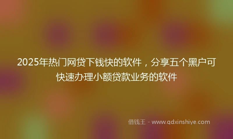 2025年热门网贷下钱快的软件，分享五个黑户可快速办理小额贷款业务的软件