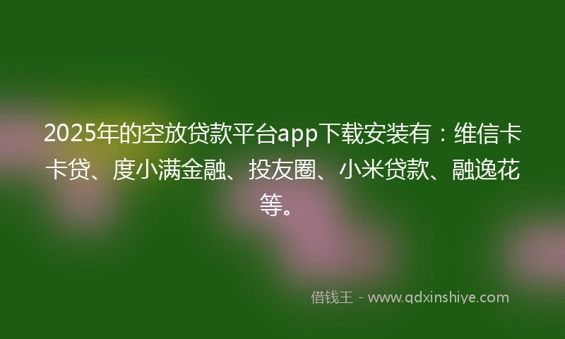 2025年的空放贷款平台app下载安装有：维信卡卡贷、度小满金融、投友圈、小米贷款、融逸花等。
