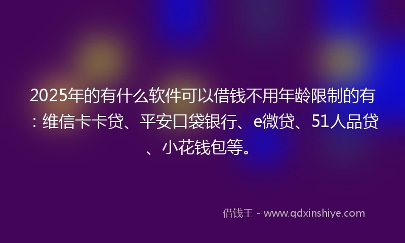 2025年的有什么软件可以借钱不用年龄限制的有：维信卡卡贷、平安口袋银行、e微贷、51人品贷、小花钱包等。