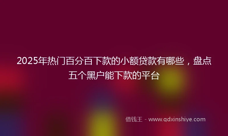 2025年热门百分百下款的小额贷款有哪些，盘点五个黑户能下款的平台
