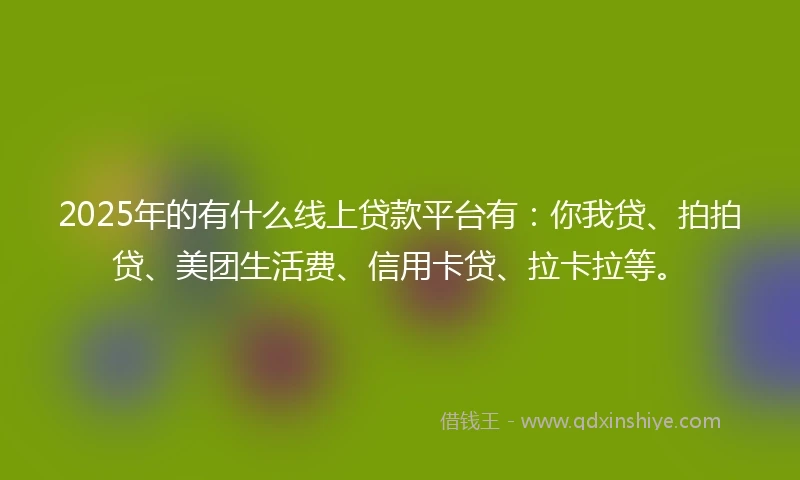 2025年的有什么线上贷款平台有：你我贷、拍拍贷、美团生活费、信用卡贷、拉卡拉等。