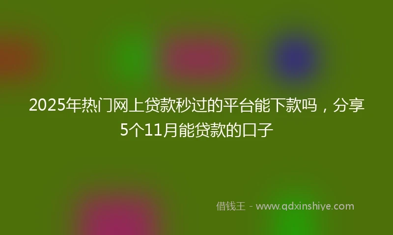 2025年热门网上贷款秒过的平台能下款吗，分享5个11月能贷款的口子