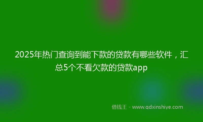 2025年热门查询到能下款的贷款有哪些软件，汇总5个不看欠款的贷款app