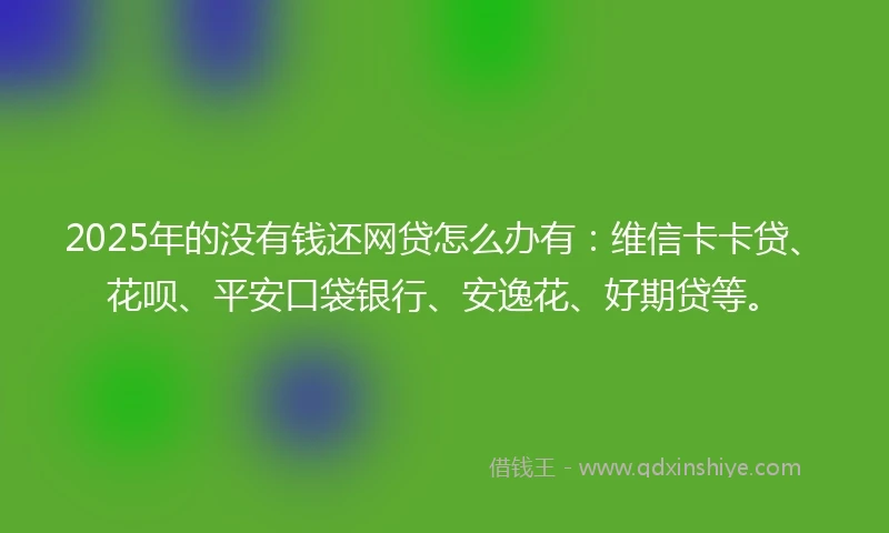 2025年的没有钱还网贷怎么办有：维信卡卡贷、花呗、平安口袋银行、安逸花、好期贷等。