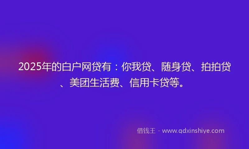 2025年的白户网贷有：你我贷、随身贷、拍拍贷、美团生活费、信用卡贷等。