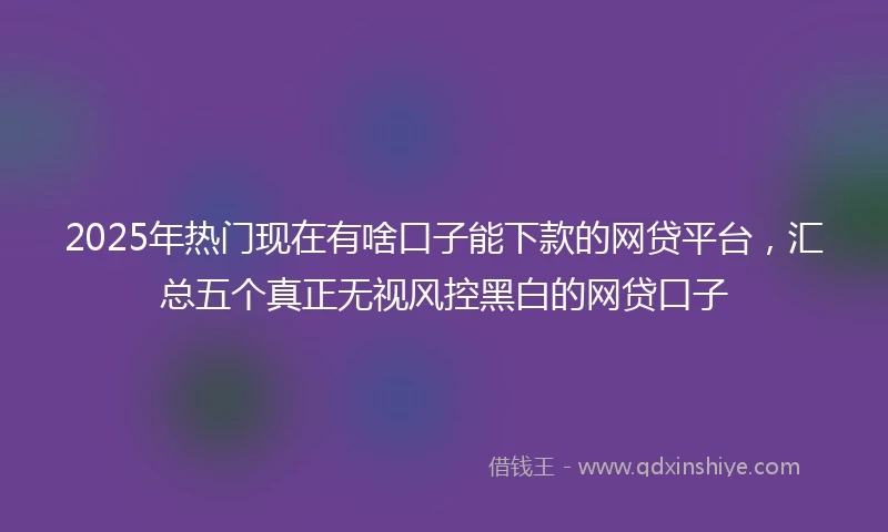 2025年热门现在有啥口子能下款的网贷平台，汇总五个真正无视风控黑白的网贷口子
