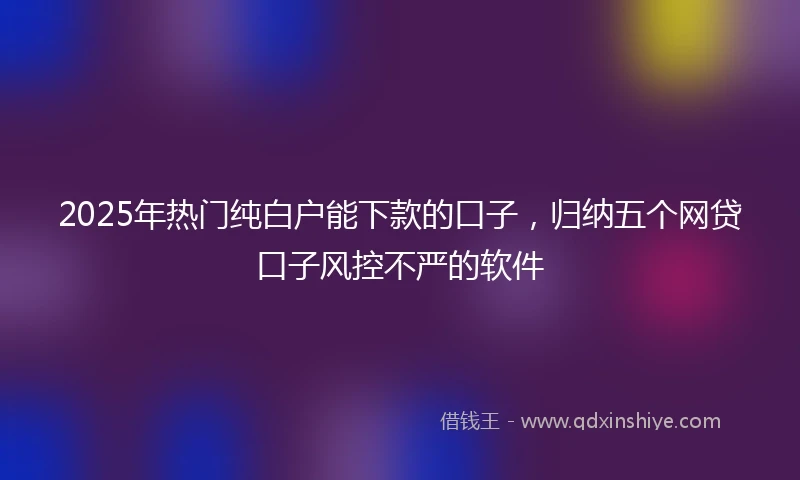 2025年热门纯白户能下款的口子，归纳五个网贷口子风控不严的软件