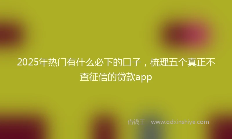 2025年热门有什么必下的口子，梳理五个真正不查征信的贷款app