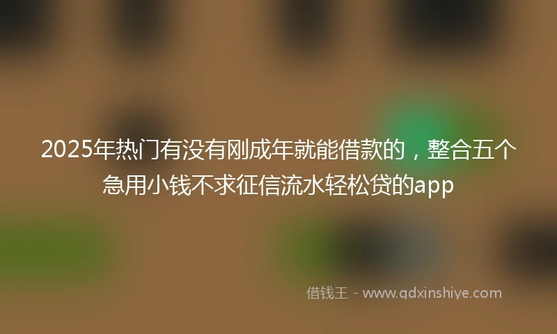 2025年热门有没有刚成年就能借款的，整合五个急用小钱不求征信流水轻松贷的app