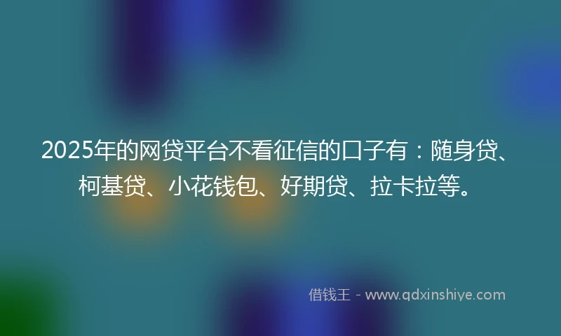 2025年的网贷平台不看征信的口子有：随身贷、柯基贷、小花钱包、好期贷、拉卡拉等。