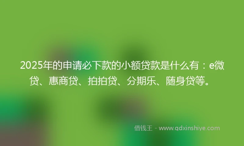 2025年的申请必下款的小额贷款是什么有：e微贷、惠商贷、拍拍贷、分期乐、随身贷等。