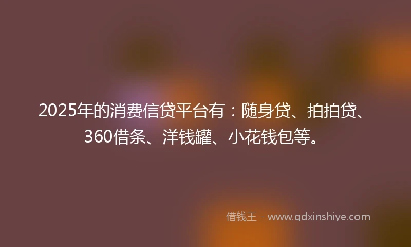 2025年的消费信贷平台有：随身贷、拍拍贷、360借条、洋钱罐、小花钱包等。