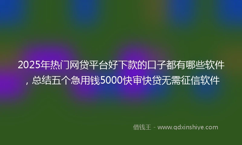 2025年热门网贷平台好下款的口子都有哪些软件，总结五个急用钱5000快审快贷无需征信软件