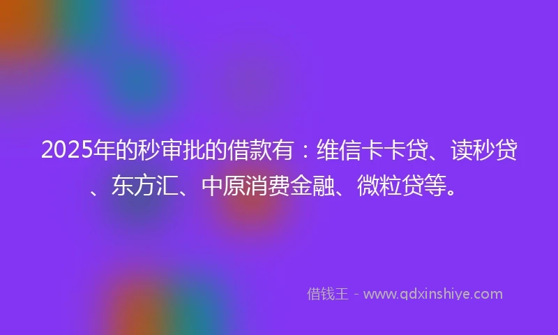 2025年的秒审批的借款有：维信卡卡贷、读秒贷、东方汇、中原消费金融、微粒贷等。
