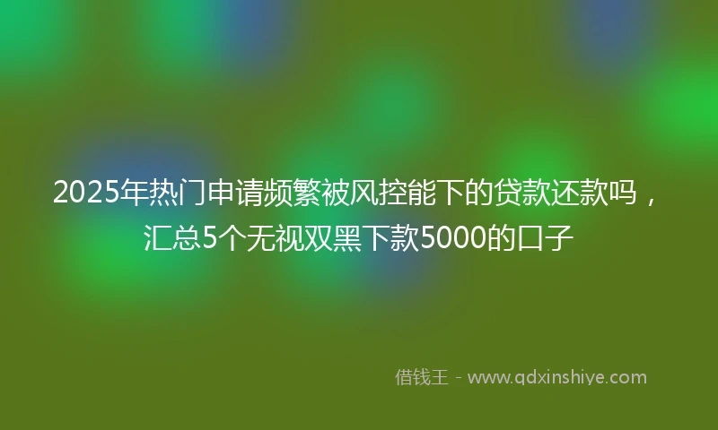 2025年热门申请频繁被风控能下的贷款还款吗，汇总5个无视双黑下款5000的口子