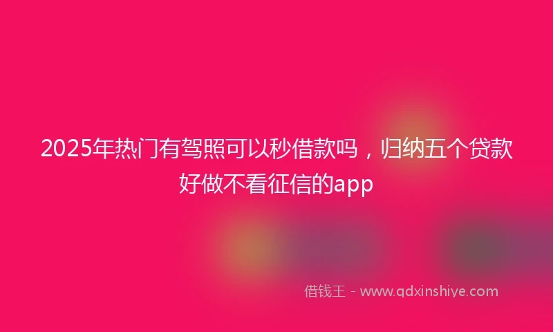 2025年热门有驾照可以秒借款吗，归纳五个贷款好做不看征信的app