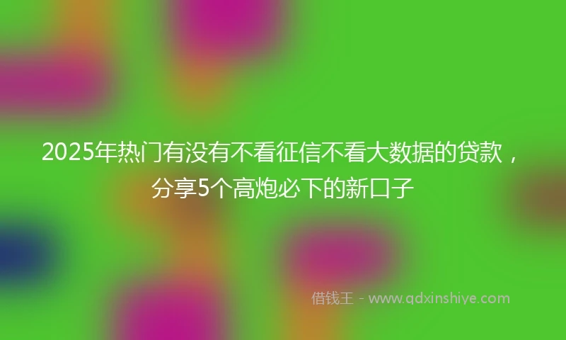 2025年热门有没有不看征信不看大数据的贷款，分享5个高炮必下的新口子