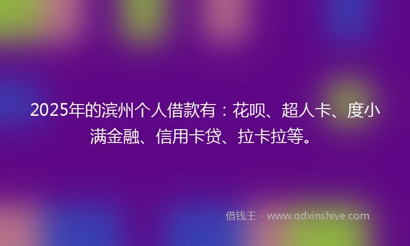 2025年的滨州个人借款有：花呗、超人卡、度小满金融、信用卡贷、拉卡拉等。