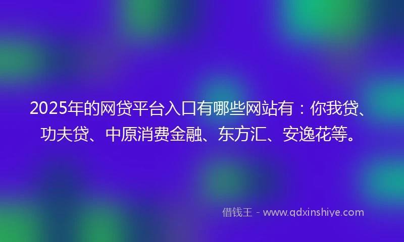 2025年的网贷平台入口有哪些网站有：你我贷、功夫贷、中原消费金融、东方汇、安逸花等。