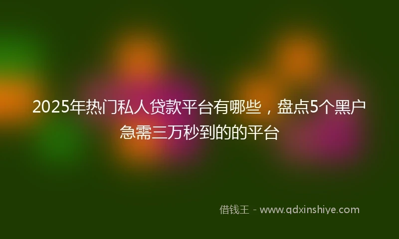 2025年热门私人贷款平台有哪些，盘点5个黑户急需三万秒到的的平台