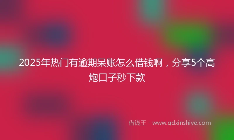 2025年热门有逾期呆账怎么借钱啊，分享5个高炮口子秒下款