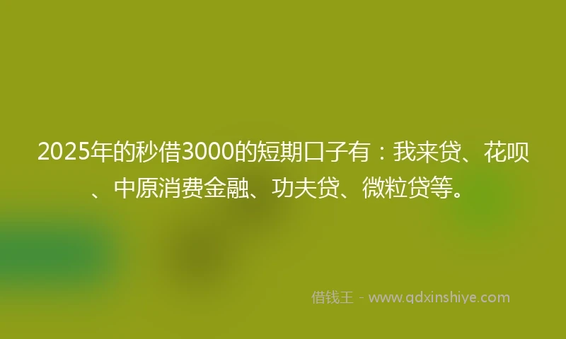 2025年的秒借3000的短期口子有：我来贷、花呗、中原消费金融、功夫贷、微粒贷等。