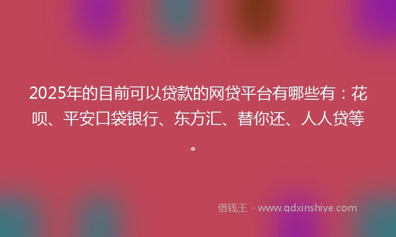 2025年的目前可以贷款的网贷平台有哪些有：花呗、平安口袋银行、东方汇、替你还、人人贷等。