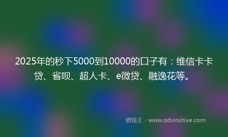 2025年的秒下5000到10000的口子有：维信卡卡贷、省呗、超人卡、e微贷、融逸花等。