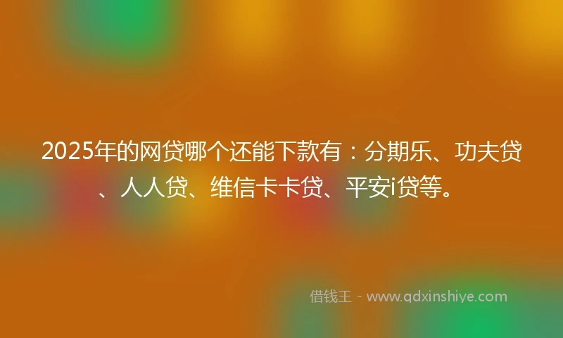 2025年的网贷哪个还能下款有：分期乐、功夫贷、人人贷、维信卡卡贷、平安i贷等。