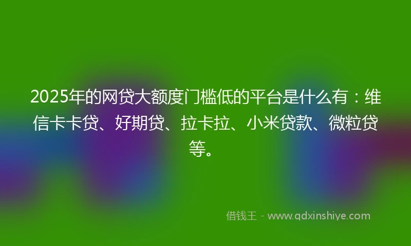 2025年的网贷大额度门槛低的平台是什么有：维信卡卡贷、好期贷、拉卡拉、小米贷款、微粒贷等。