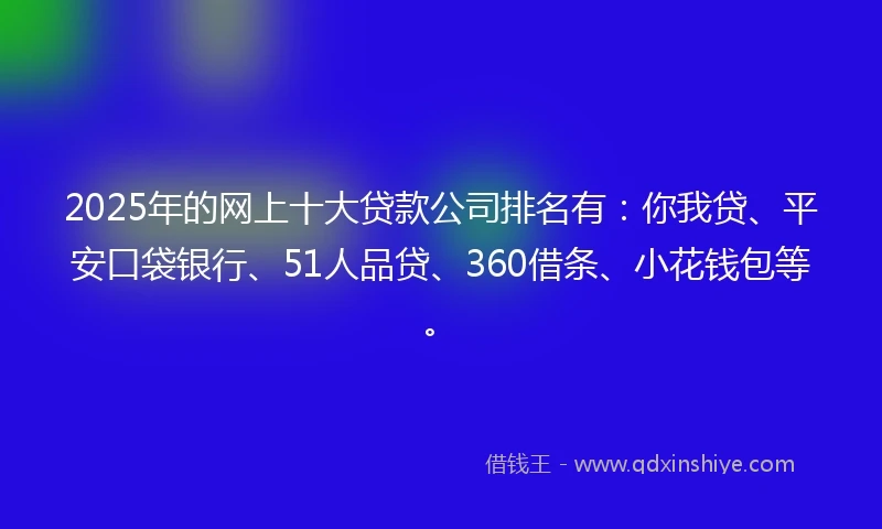 2025年的网上十大贷款公司排名有：你我贷、平安口袋银行、51人品贷、360借条、小花钱包等。