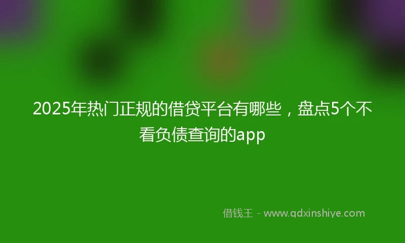 2025年热门正规的借贷平台有哪些，盘点5个不看负债查询的app