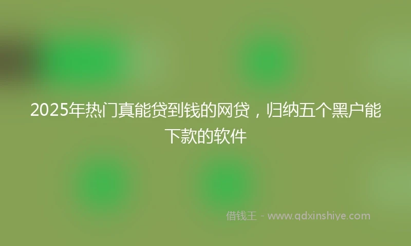 2025年热门真能贷到钱的网贷，归纳五个黑户能下款的软件