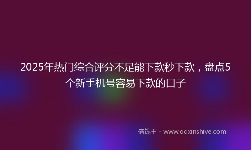 2025年热门综合评分不足能下款秒下款,盘点5个新手机号容易下款的口子
