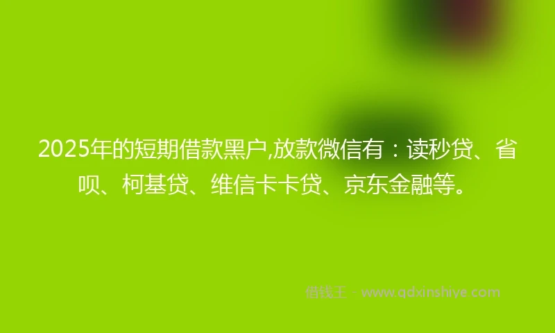 2025年的短期借款黑户,放款微信有：读秒贷、省呗、柯基贷、维信卡卡贷、京东金融等。